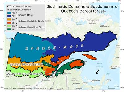 Forest Structure and Composition Diverge Following Harvesting Compared to a Spruce Budworm Choristoneura fumiferana (Clem.) Outbreak